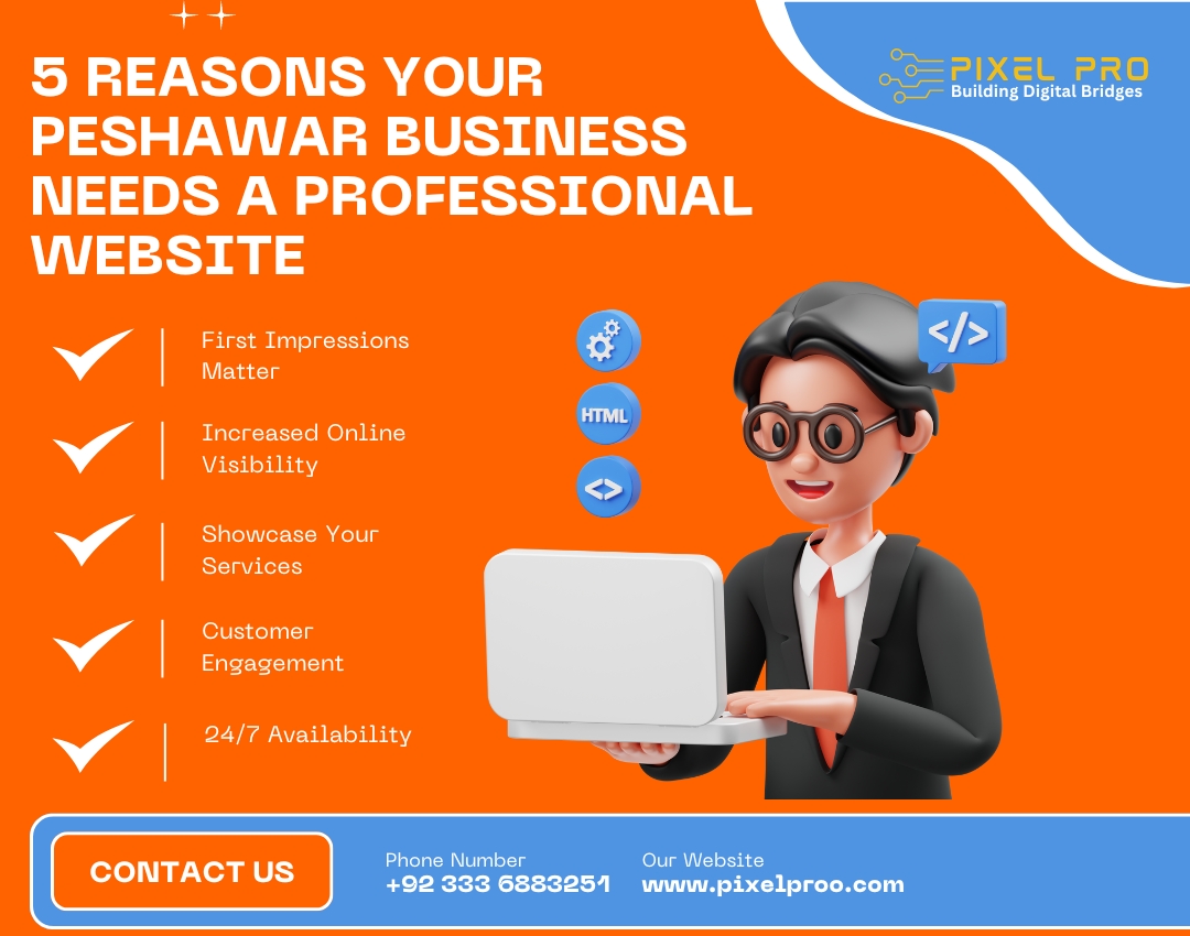 5 Reasons Your Peshawar Business Needs a Professional Website